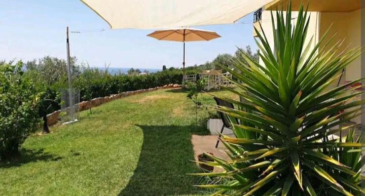 Panorama Olive Garden Apartment Makri Exterior foto
